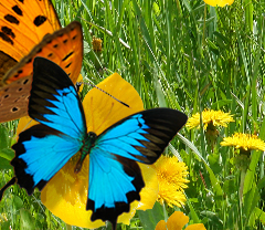 車載LED廣告顯示屏價格多少錢？常用分類有哪些