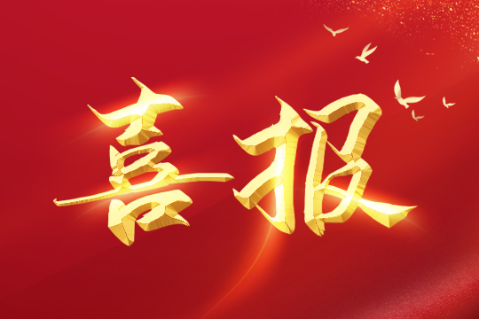 喜報 | 悟空體育榮登2024粵港澳大灣區(qū)企業(yè)創(chuàng)新力榜單